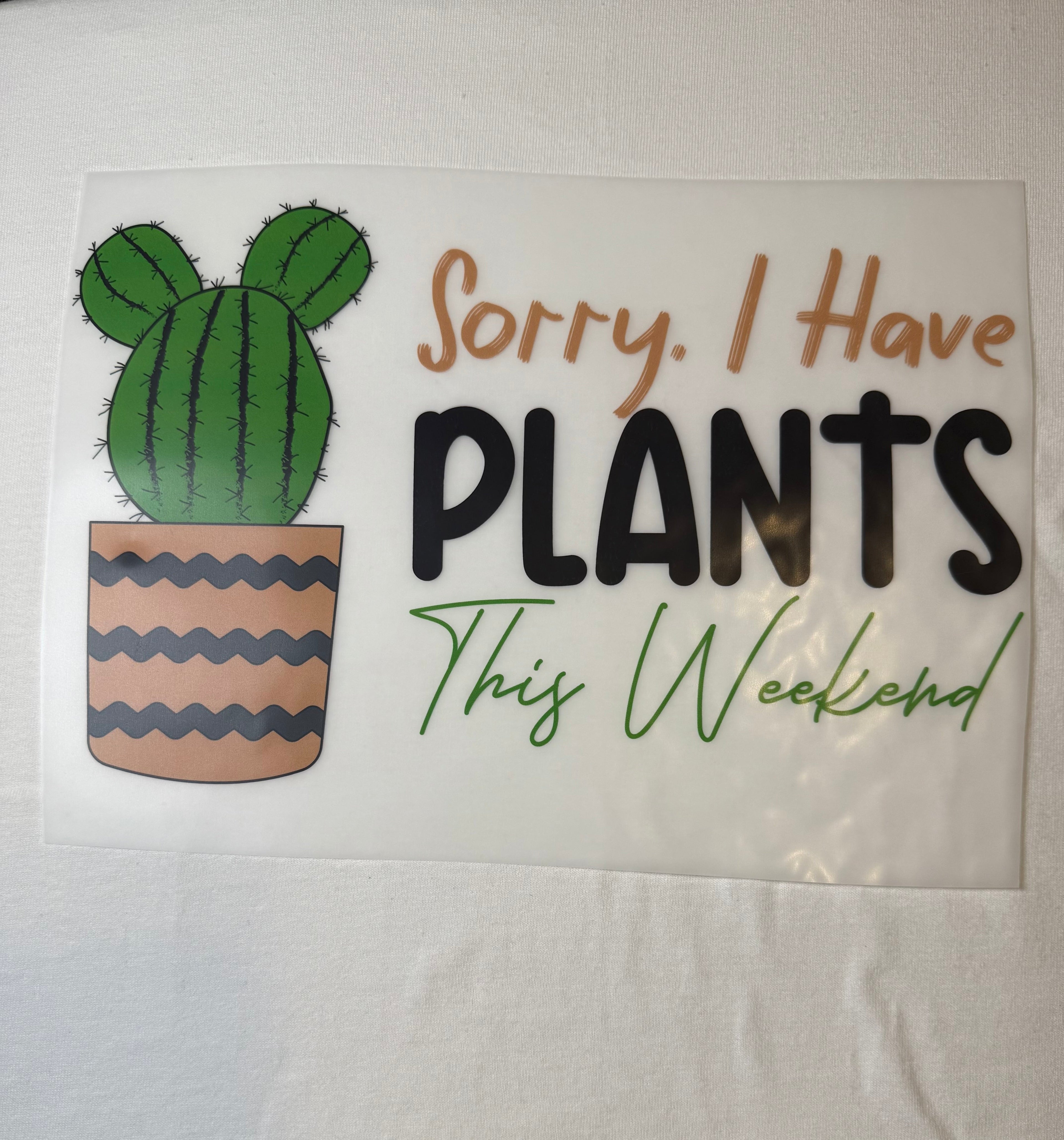 Plants